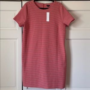 Ann Taylor Knit Shift Dress